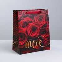 ����� �������������� ������������ ���� ��� ����, ML 23 ? 27 ? 11.5 ��  3680639