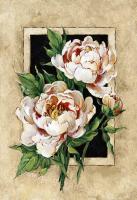 ����� ��������� 