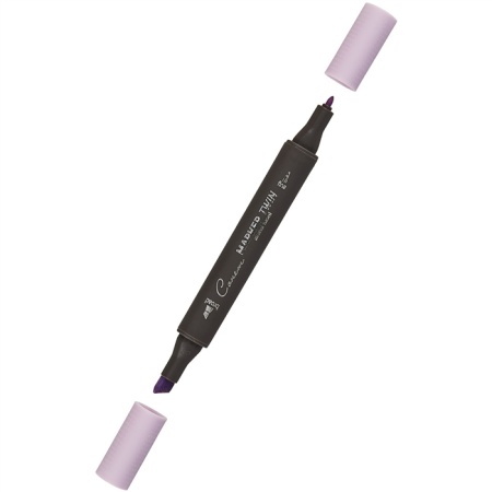 ����� ������ TWIN ��������������, ������-����������