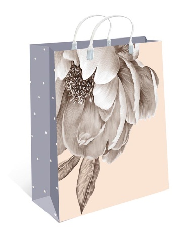 ����� ���������� 26�24 ��� � ������ �����������