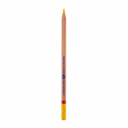 �������� �������. ������� �� �04 �������-������ 1 ��