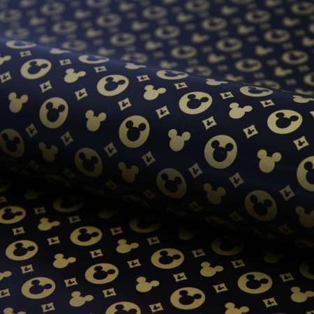 ������ ����������� ���������  