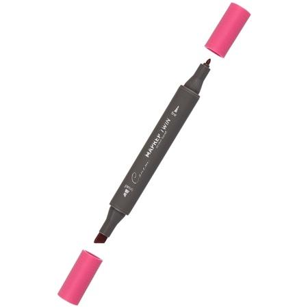 ����� ������ TWIN ��������������, �����������