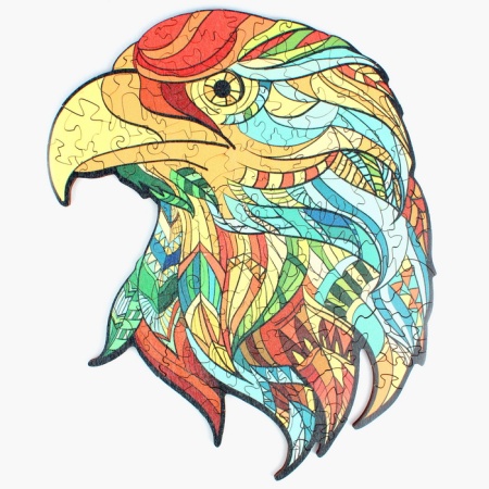 ���� ���������� ���