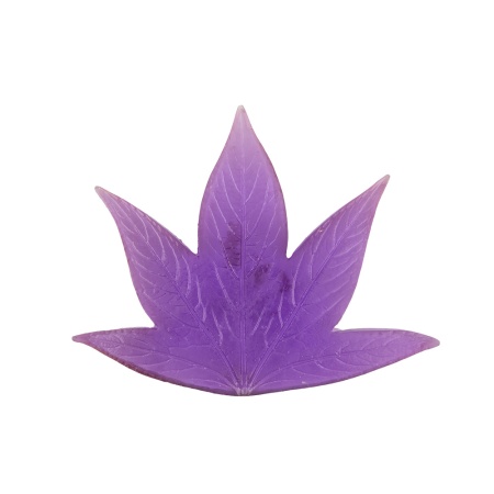 ���� �����������   FIO-M/04  04 