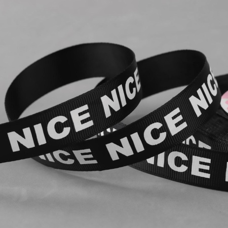 ����� �������� 20��*25�1��� ������� ����� NICE ������ ��    3968059