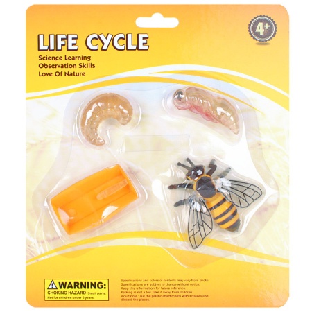 ������� � ������ 