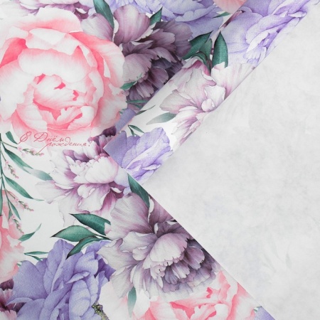 ������ ����������� ��������� ��������� �� ����, 60 ? 90 ��   4424176