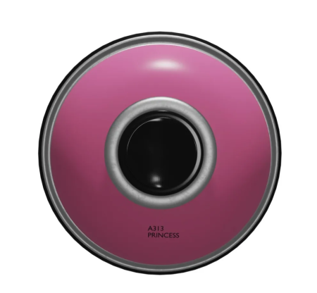 A313 Princess - �������� 