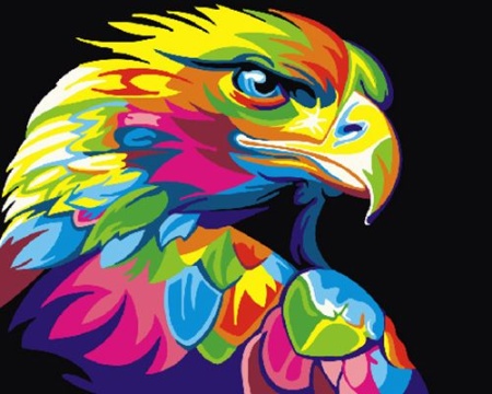 �������� ���� (������: 40x50, ����� �� ����������)