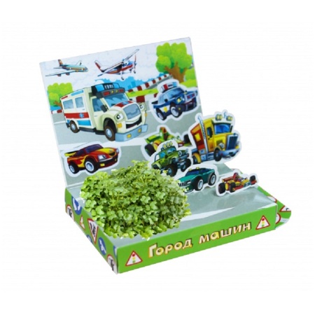 ����� ��� ����������� �������� 