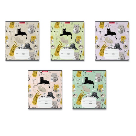 ������� 24�., ������ ErichKrause 