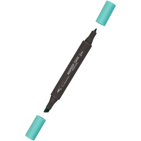 ����� ������ TWIN ��������������, ������� ������