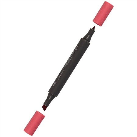 ����� ������ TWIN ��������������, �����-�������