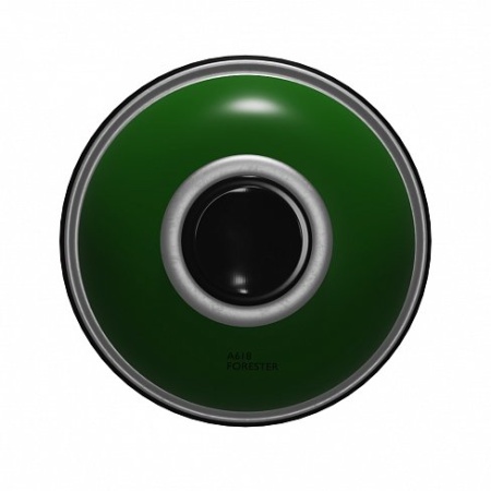 A618 Forester - �������� 