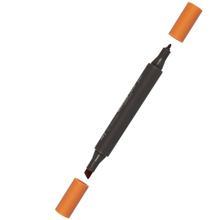 ����� ������ TWIN ��������������, ������������