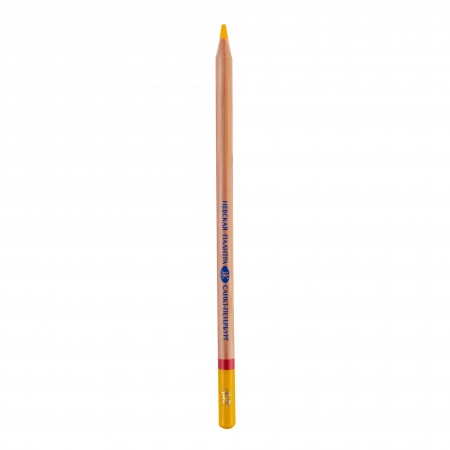 �������� �������. ������� �� �06 �������-������ 1 ��