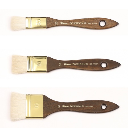 ����� Pinax POSEIDON ���� ����� N 50