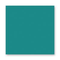 FOLIA  ���� 150 �/�2, 20�30 ��, 10 �/����, ���������