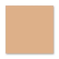 FOLIA  ���� 150 �/�2, 20�30 ��, 10 �/����, ���������� 520442
