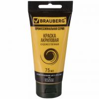������ ��������� �������������� BRAUBERG ART 