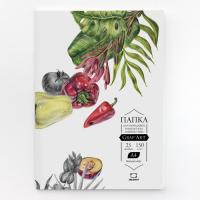 ����� � ������� ��� ����� ������ GrafArt 150 �, A4, 25 �