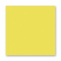 FOLIA  ���� 150 �/�2, 20�30 ��, 10 �/����, �������-������
