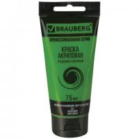 ������ ��������� �������������� BRAUBERG ART 