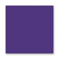 FOLIA  ���� 150 �/�2, 20�30 ��, 10 �/����, �������