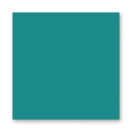 FOLIA  ���� 150 �/�2, 20�30 ��, 10 �/����, ���������
