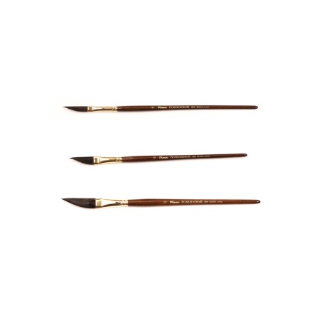 ����� Pinax POSEIDON ����� ���� ������ ������ N 6