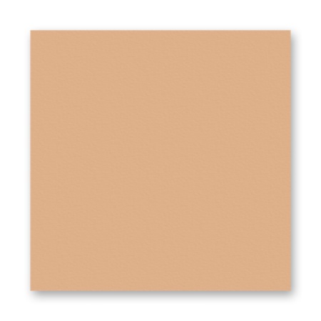 FOLIA  ���� 150 �/�2, 20�30 ��, 10 �/����, ���������� 520442
